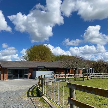 Unique Equestrian Lifestyle Bed & Breakfast Tamahere Екстериор снимка