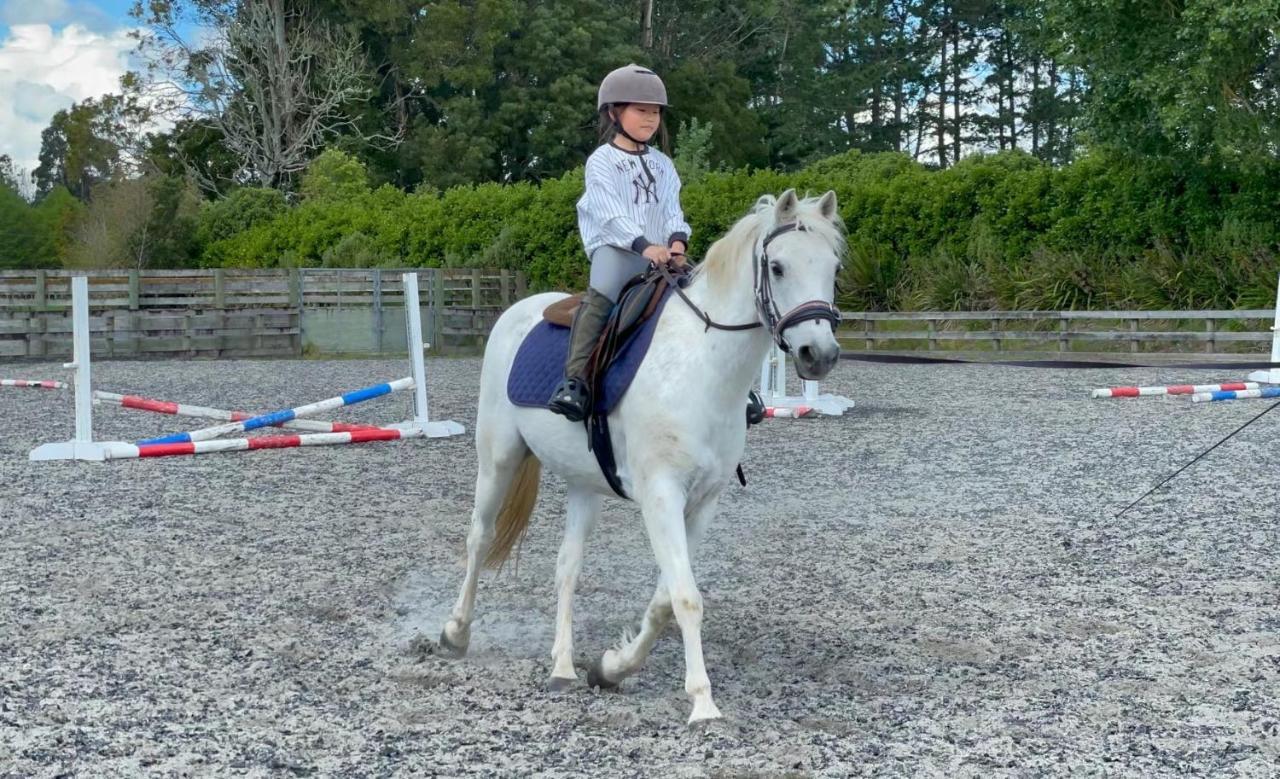 Unique Equestrian Lifestyle Bed & Breakfast Tamahere Екстериор снимка