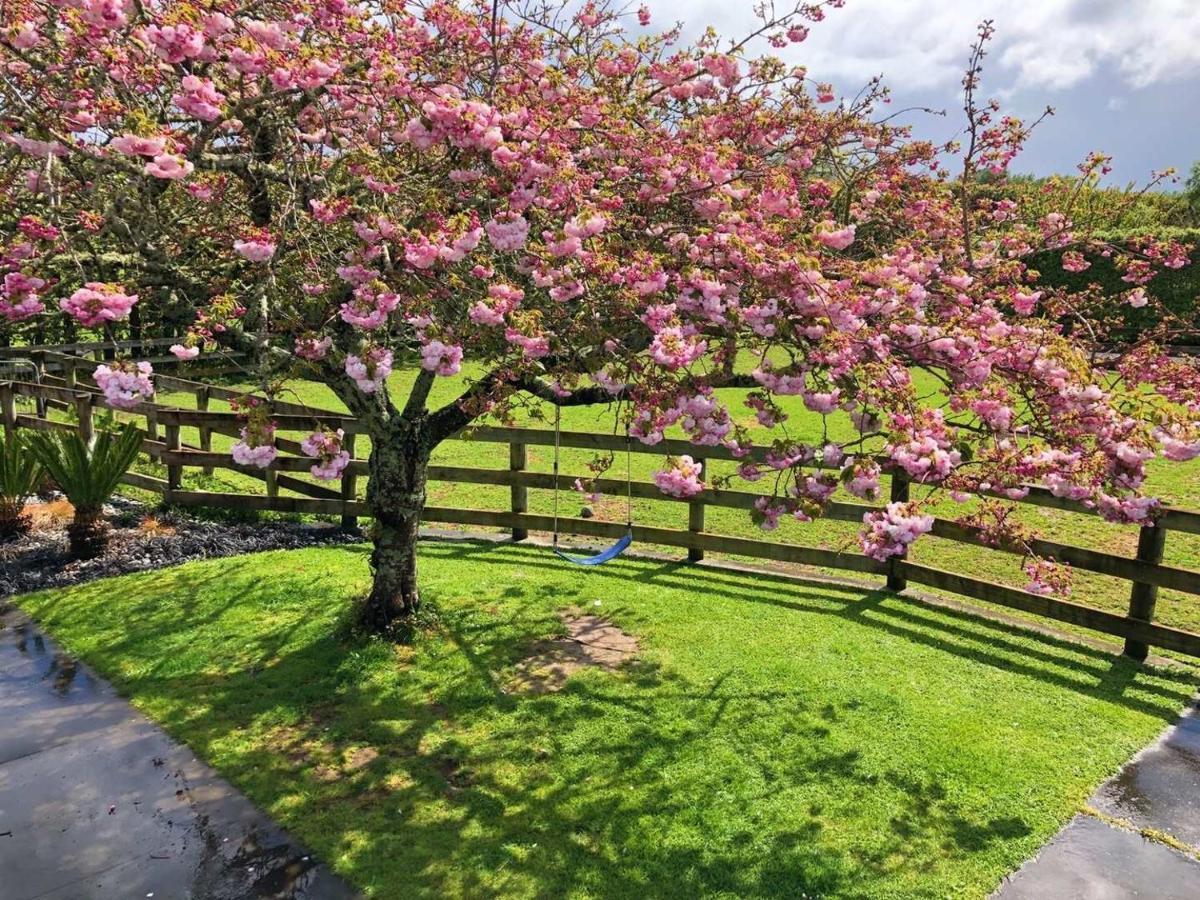 Unique Equestrian Lifestyle Bed & Breakfast Tamahere Екстериор снимка