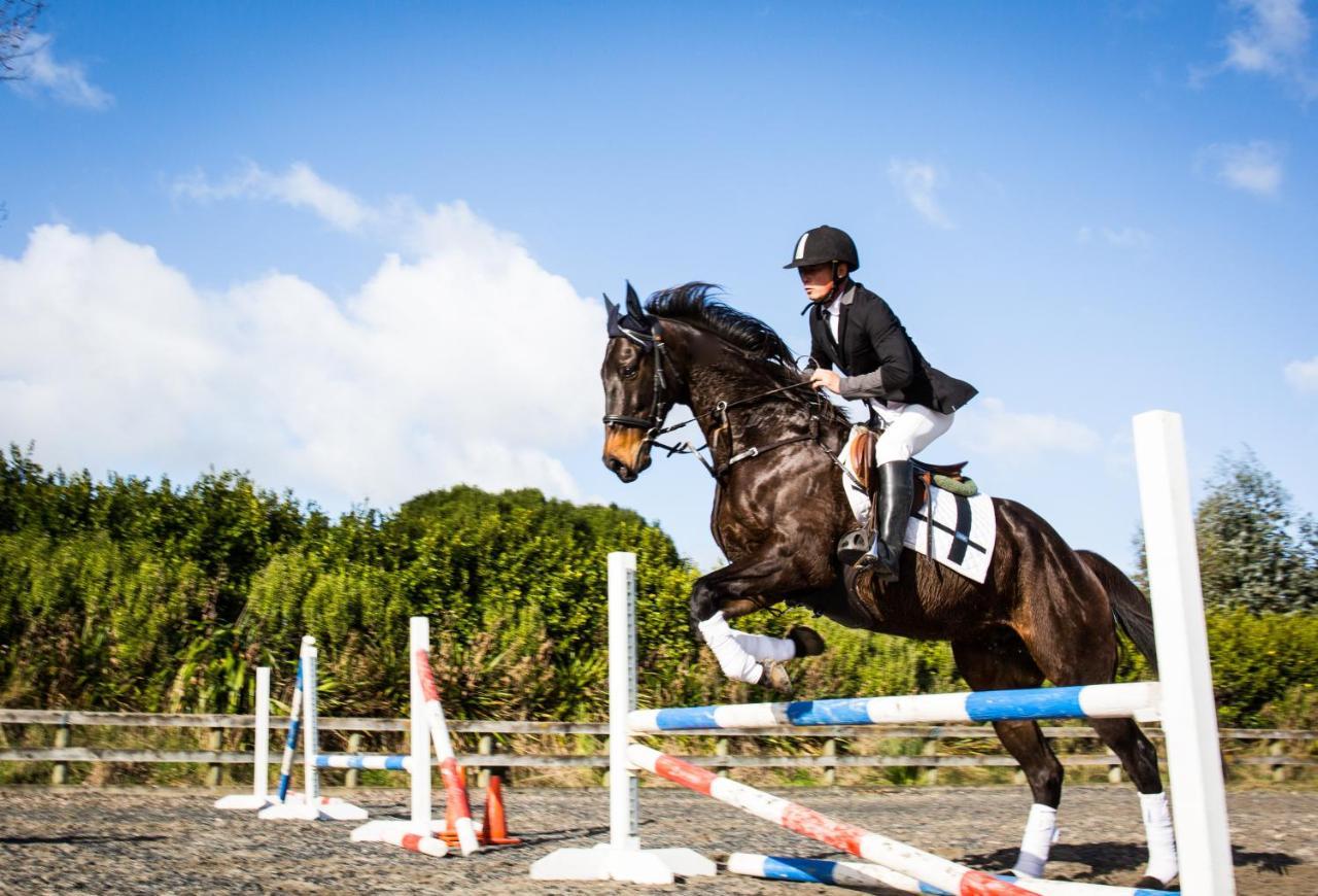 Unique Equestrian Lifestyle Bed & Breakfast Tamahere Екстериор снимка