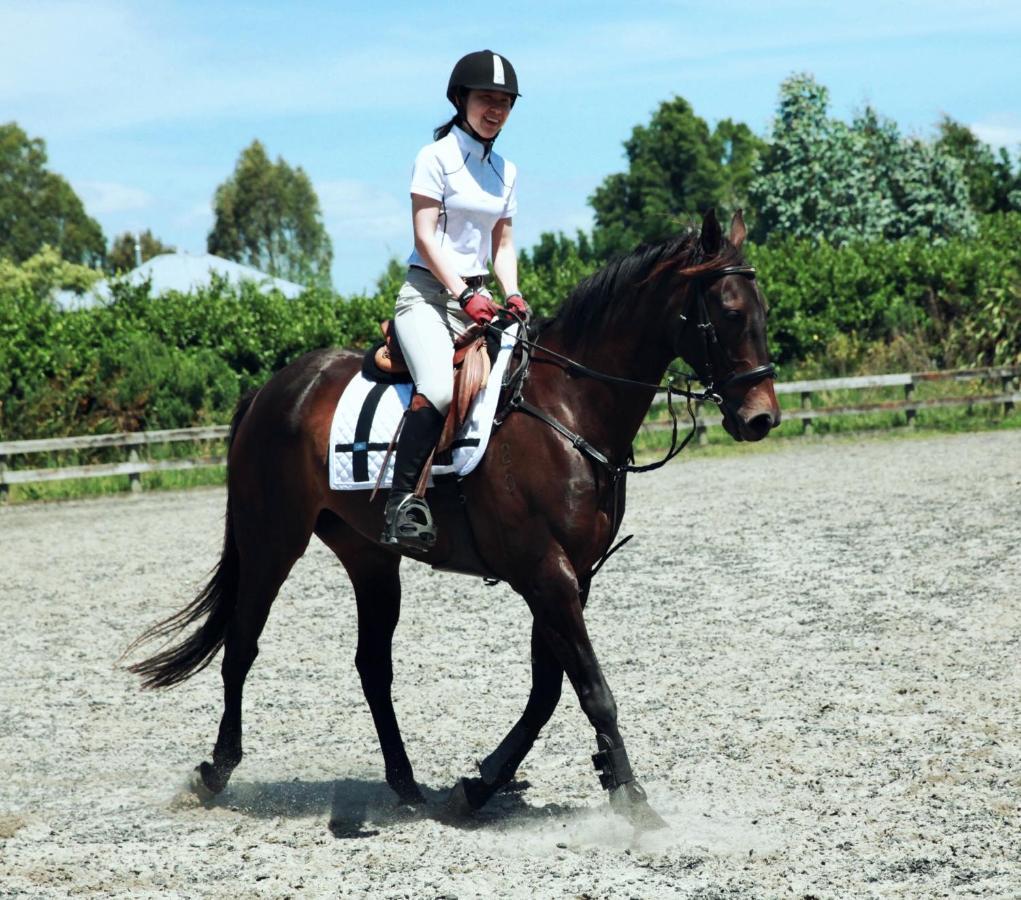 Unique Equestrian Lifestyle Bed & Breakfast Tamahere Екстериор снимка