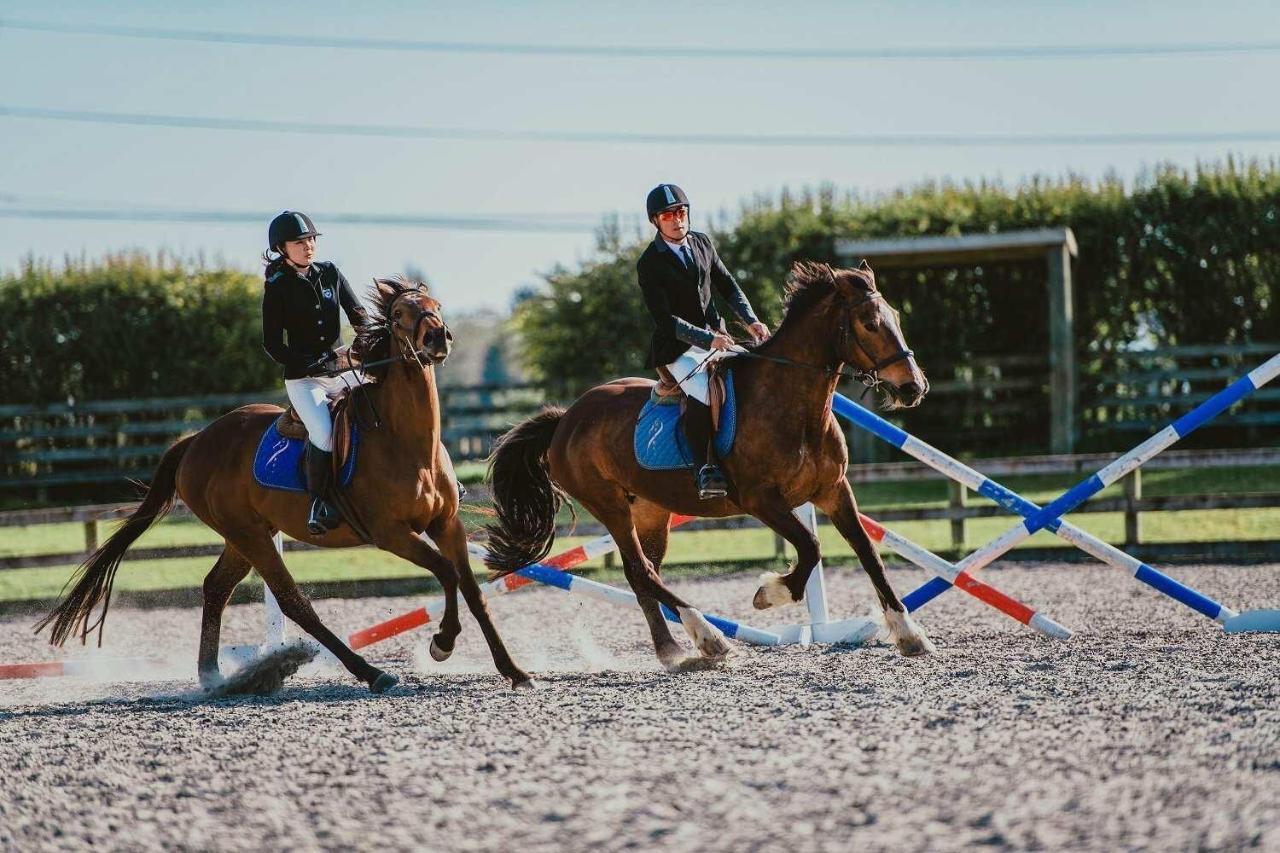 Unique Equestrian Lifestyle Bed & Breakfast Tamahere Екстериор снимка