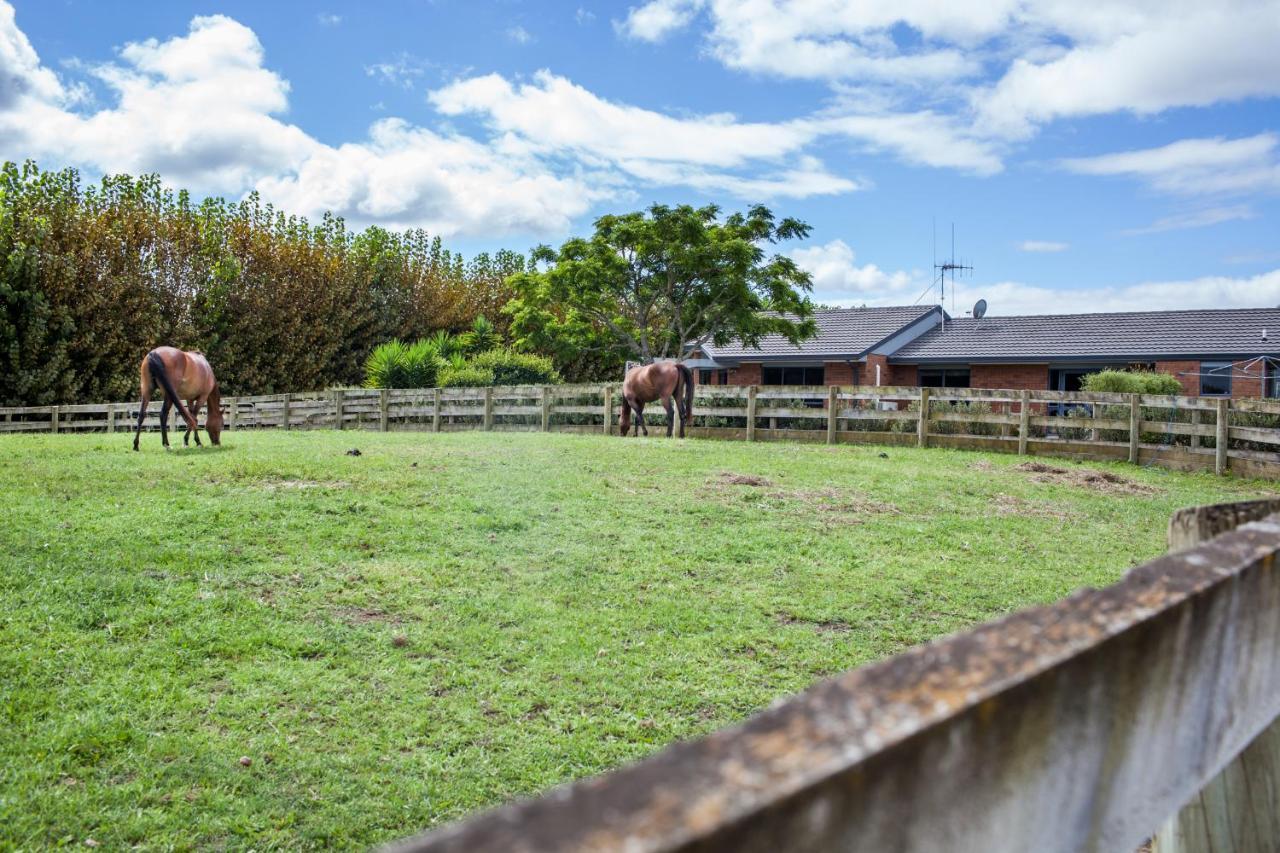 Unique Equestrian Lifestyle Bed & Breakfast Tamahere Екстериор снимка