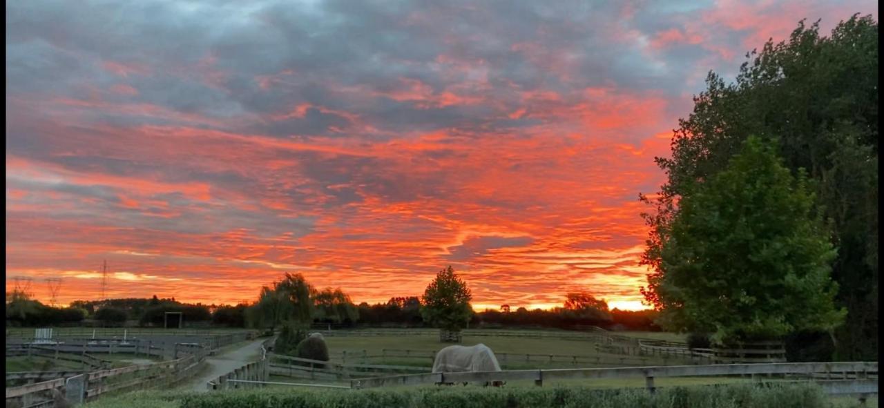 Unique Equestrian Lifestyle Bed & Breakfast Tamahere Екстериор снимка